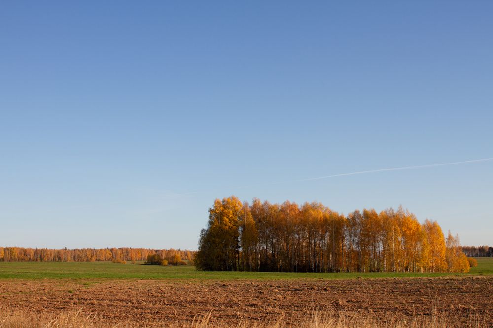 Photograph by Олег Иевлев