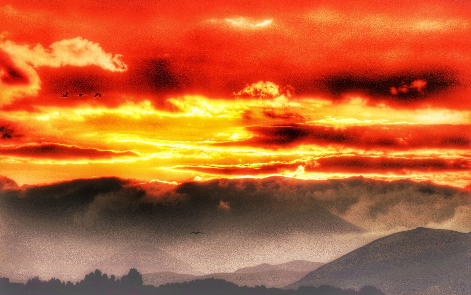 Sunrise of new day&new work