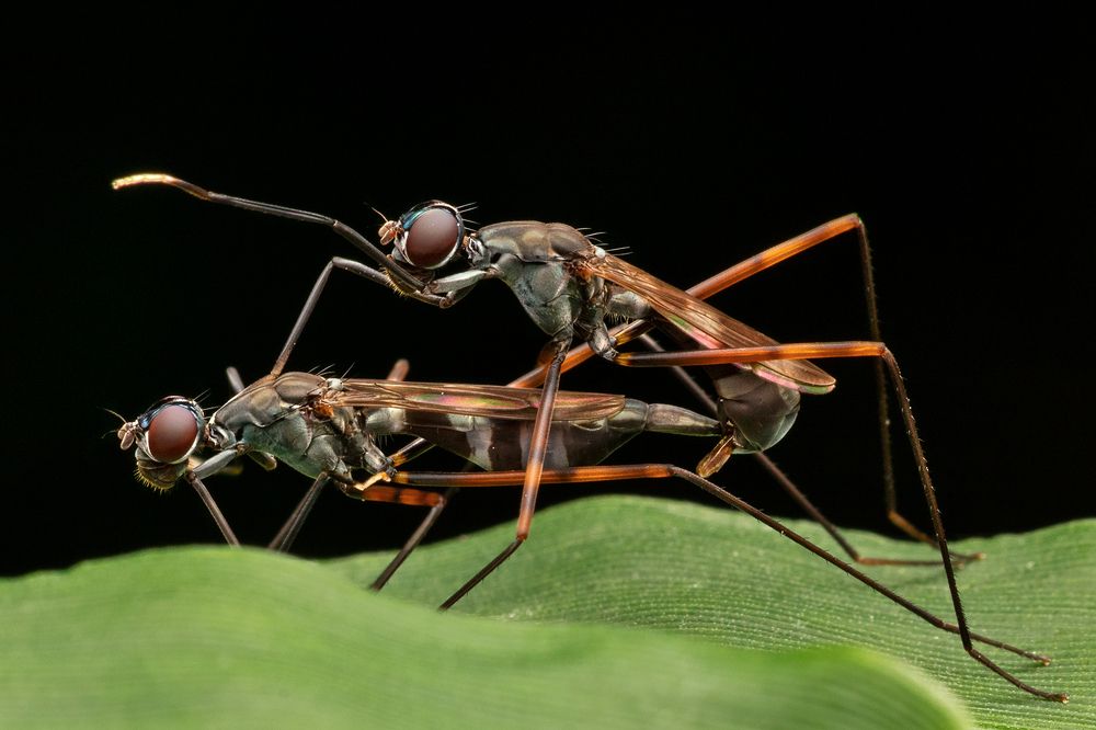 Photograph by Subhankar Bardhan