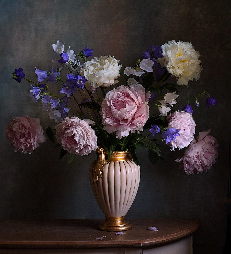 Фотография автора Алина Ланкина