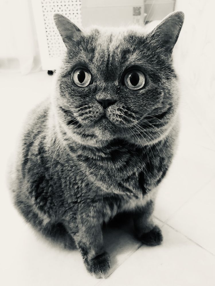 Photograph by Алена Жирова