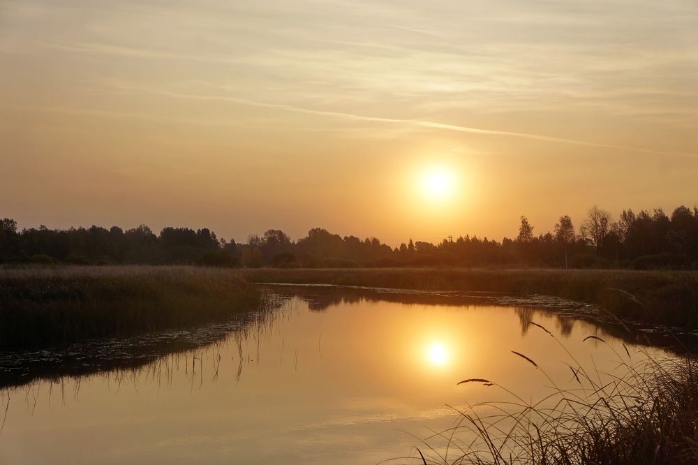 Октябрьское утро