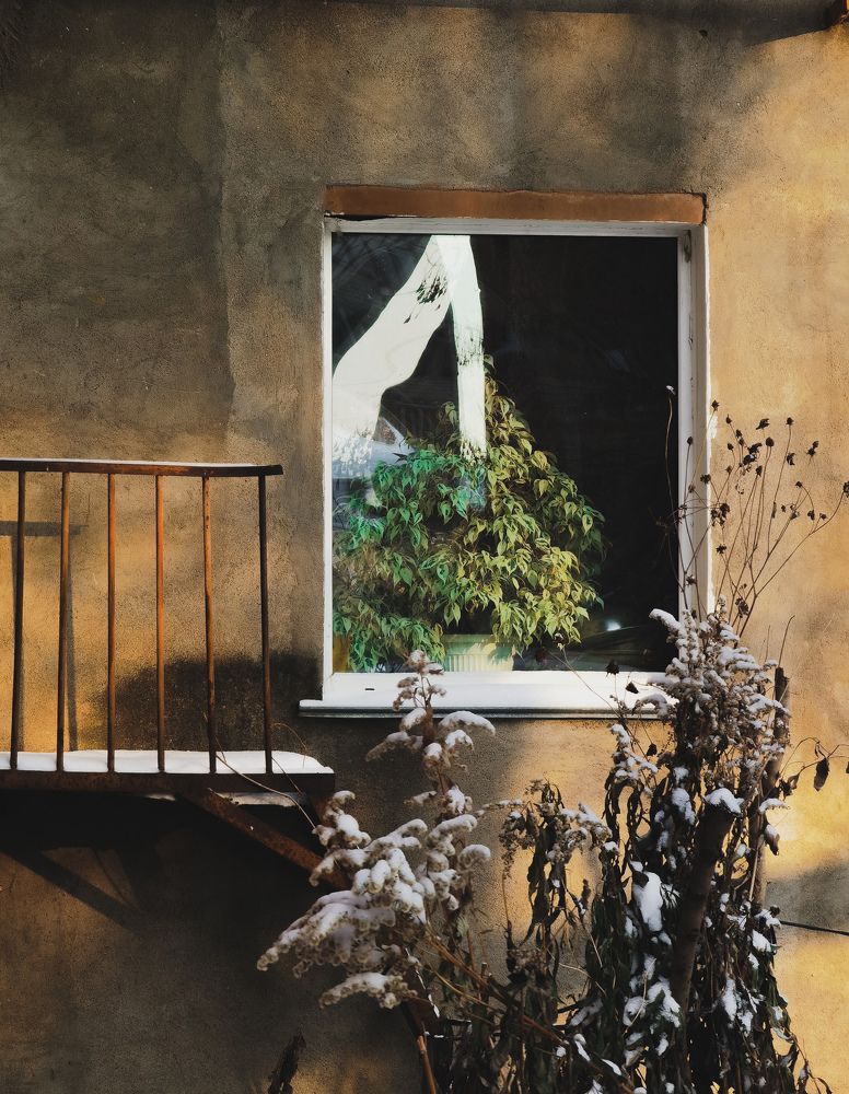 Photograph by Алексей Степаненко