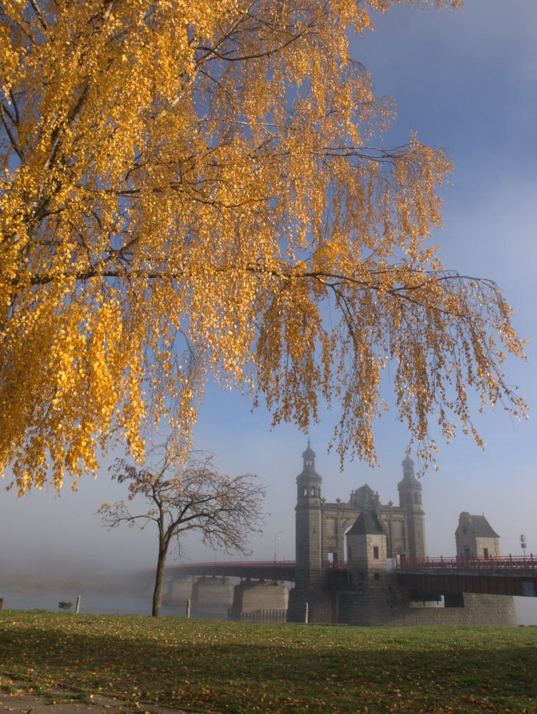 Photo #5835056