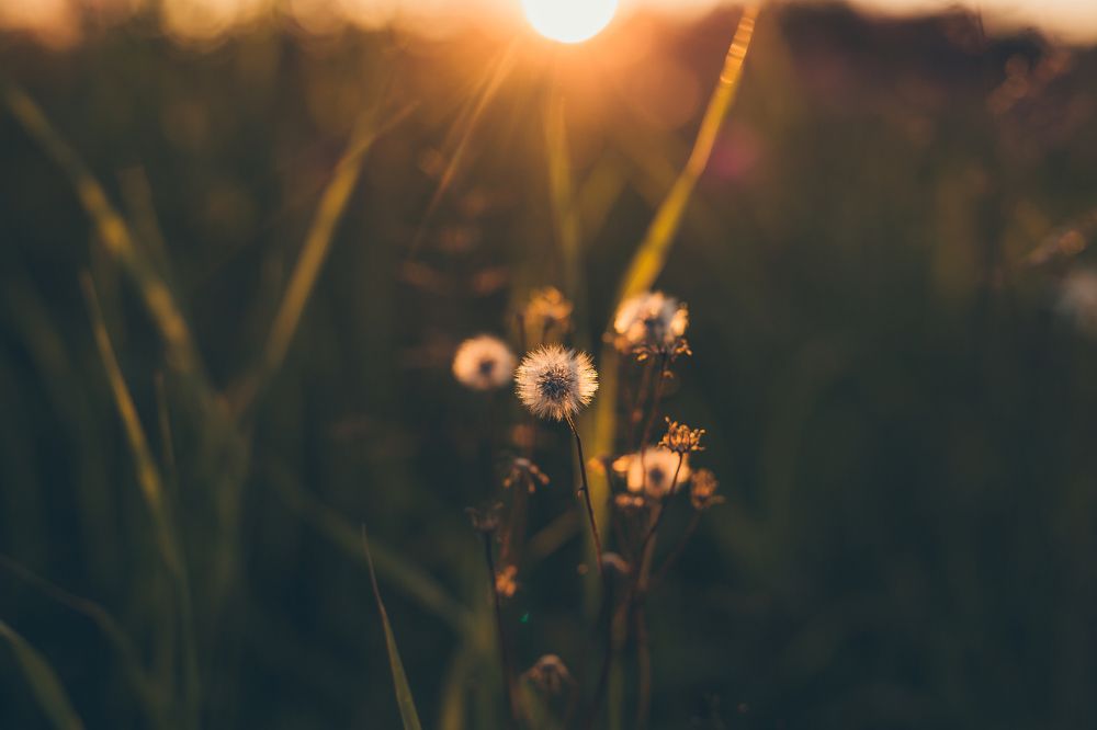 Photograph by Нурият Аллаярова