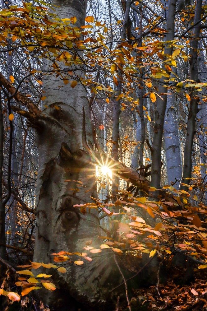 Photograph by Diana Dimova