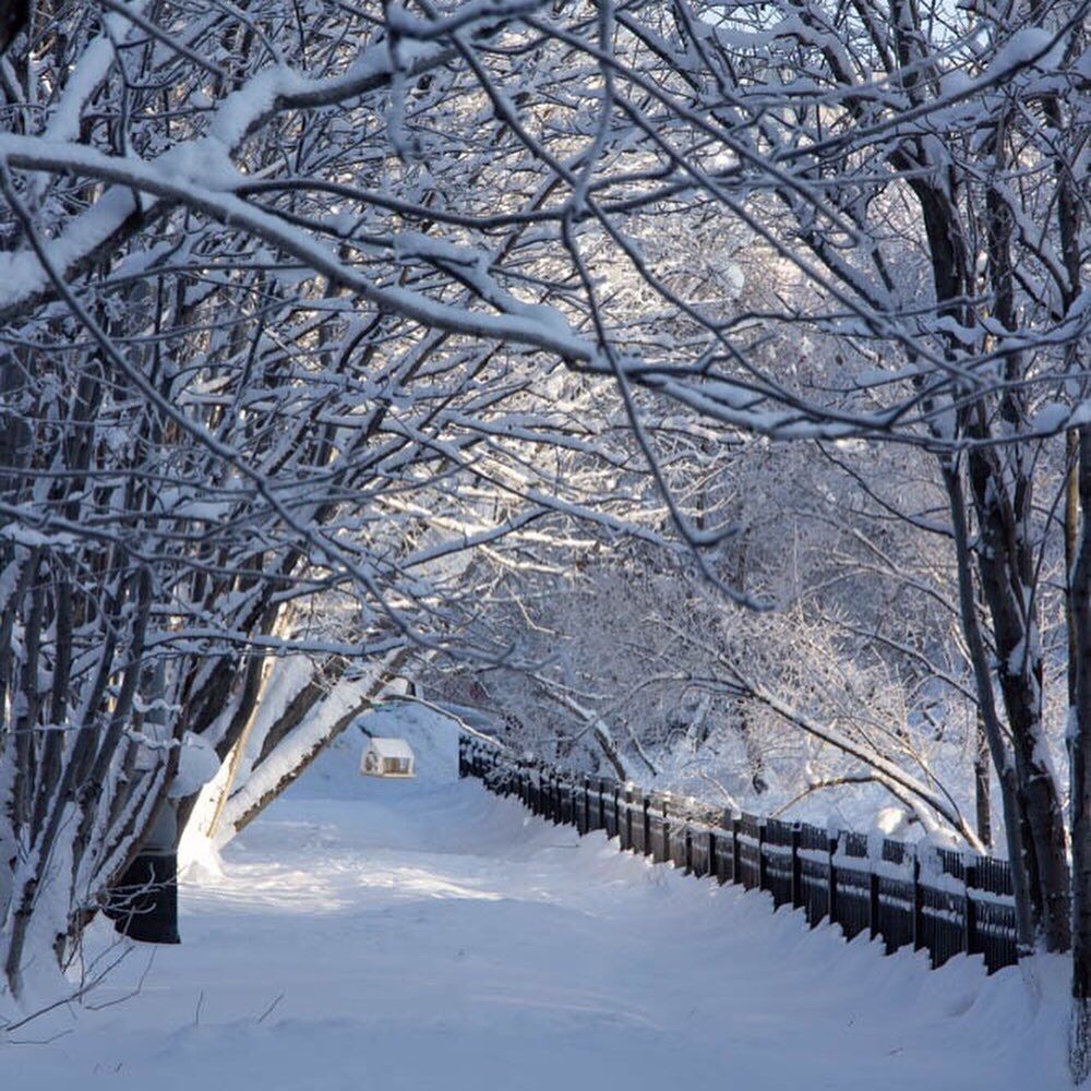 Photograph by Анна Лялина