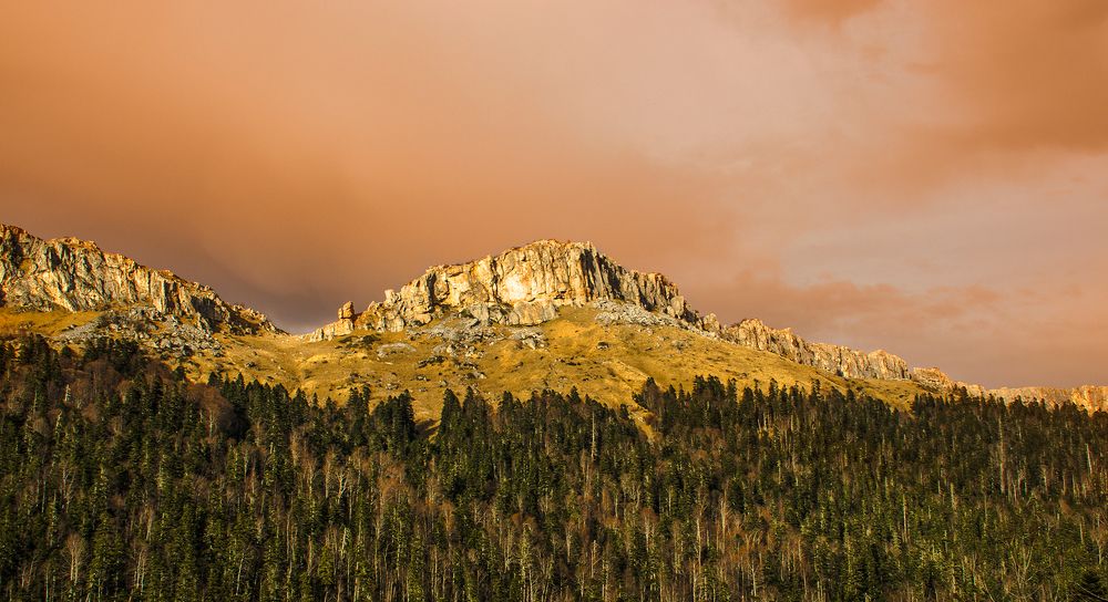 Photograph by Петр Шевелев