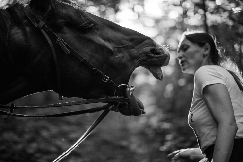 Photograph by фатова ольга игоревна