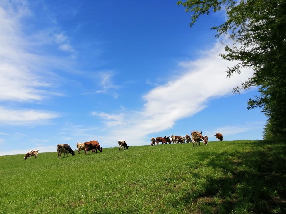 Photograph by Анна Володина