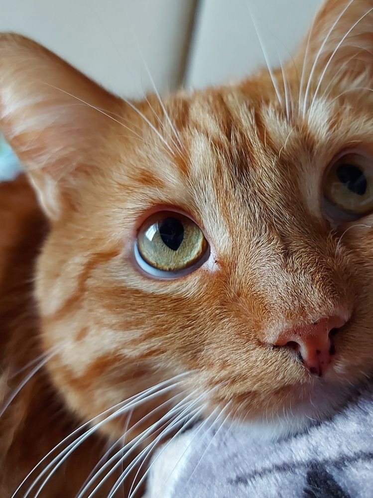 Photograph by Юлия Корнитенко