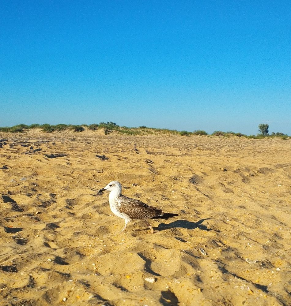 Photograph by Ольга Худорожко