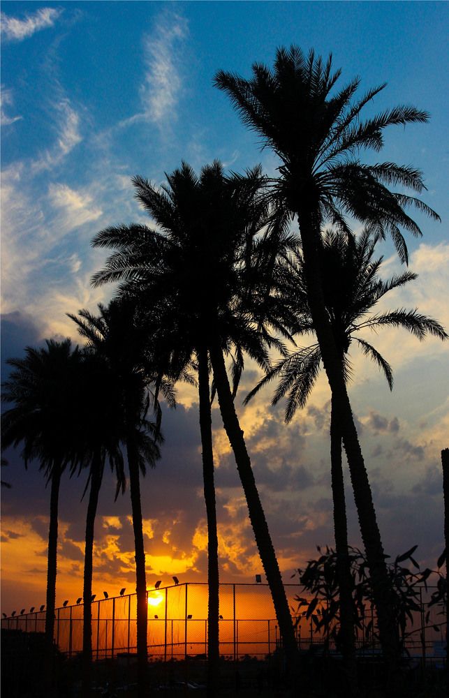 Photograph by E Hamdi Abdullah