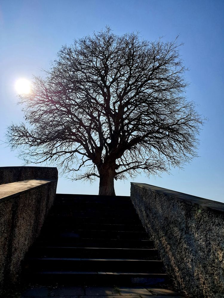 Photograph by Sandro Kenkadze