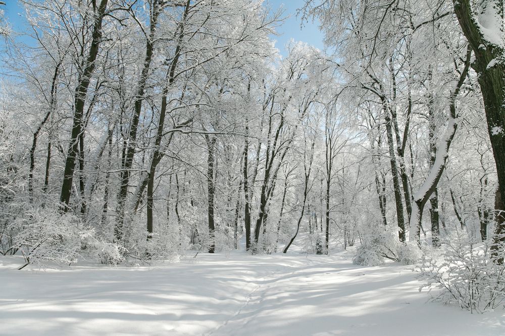 Зима в Ясной Пляне