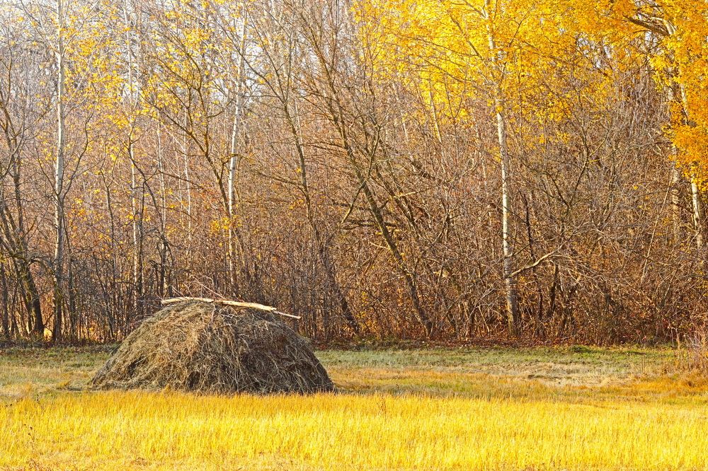 Photograph by Родосская Нонна