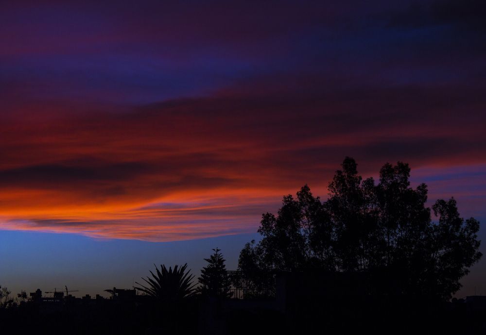Photograph by Humberto Rico