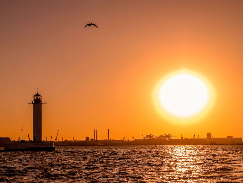 Photograph by Фаина Зеленая