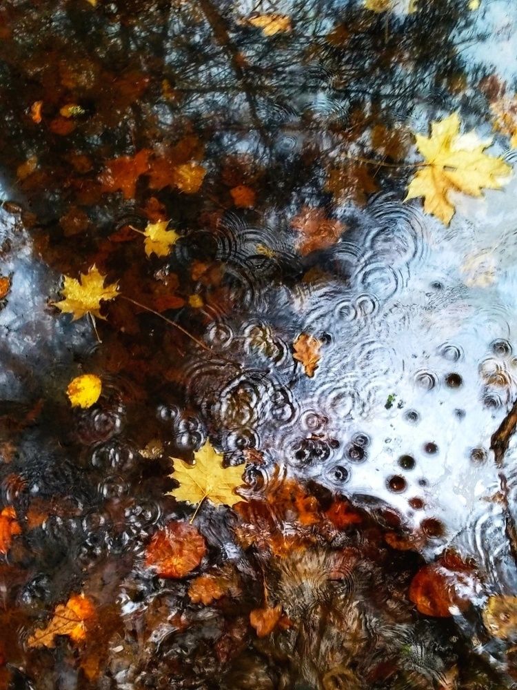 Photograph by Алеся Цеван