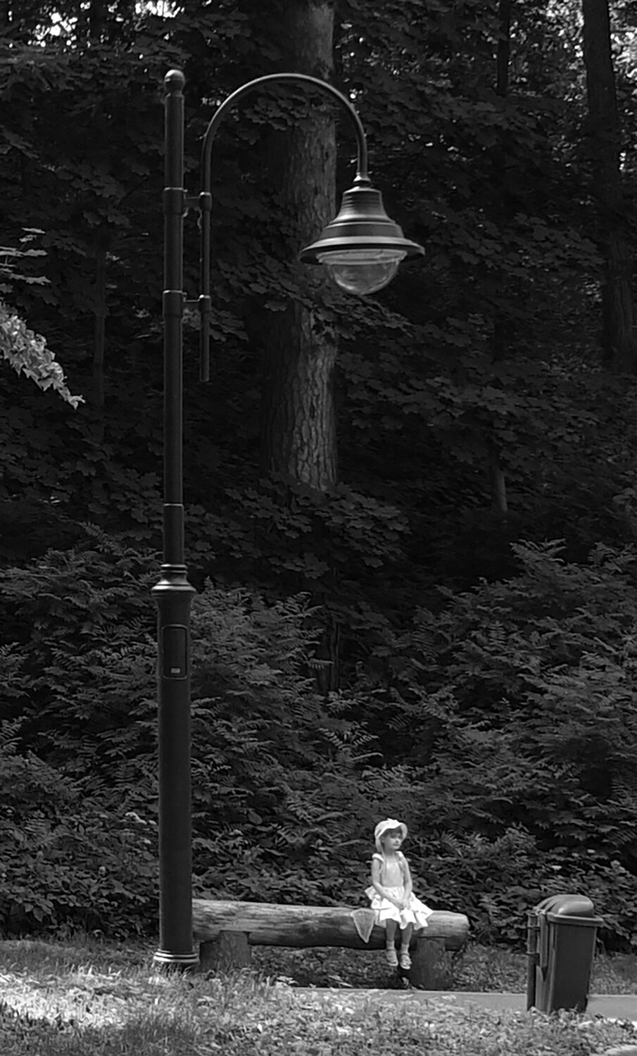 Photo #5835660