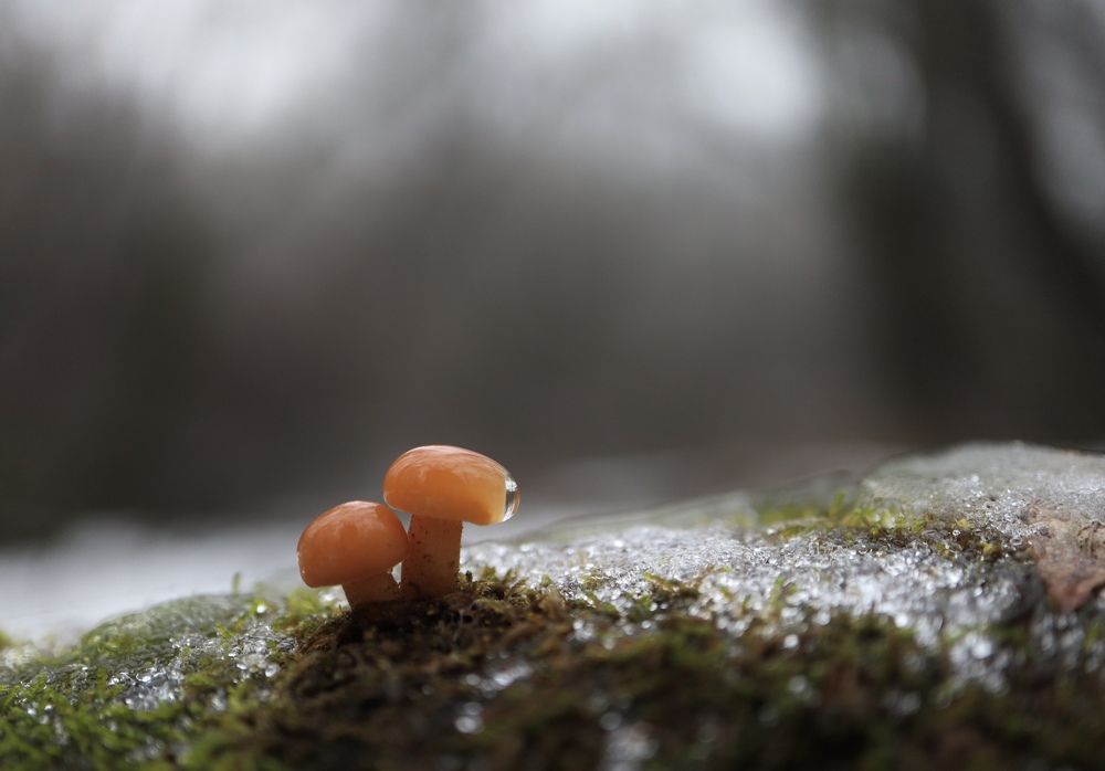 Photograph by Andrey