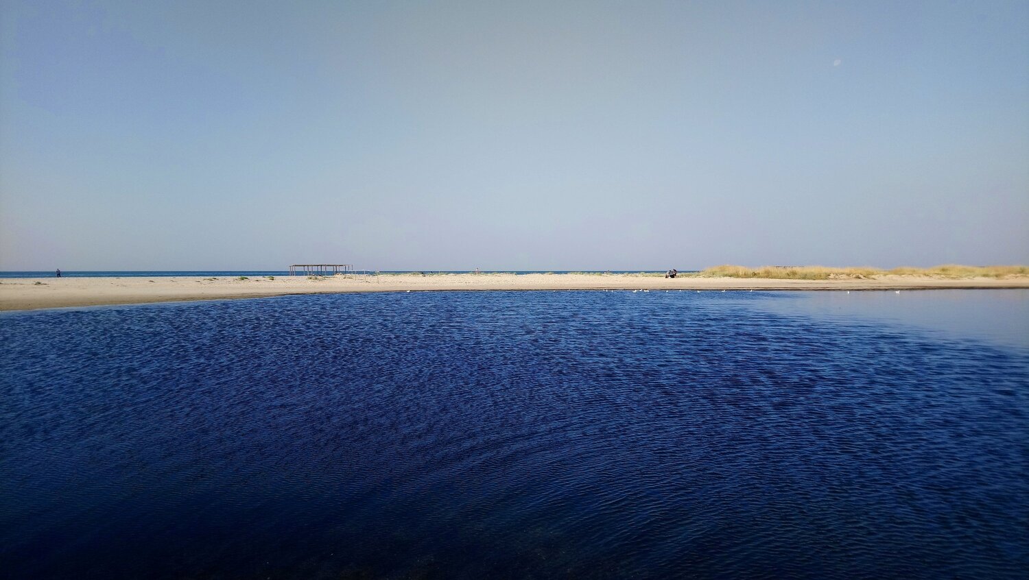 Photo #5835700