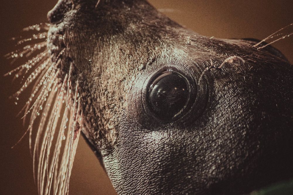 Photograph by Антон