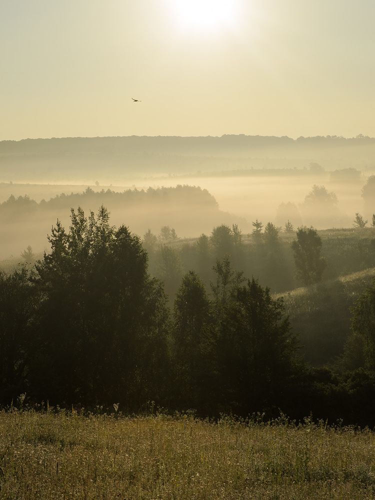 Photograph by Руслан Савченко