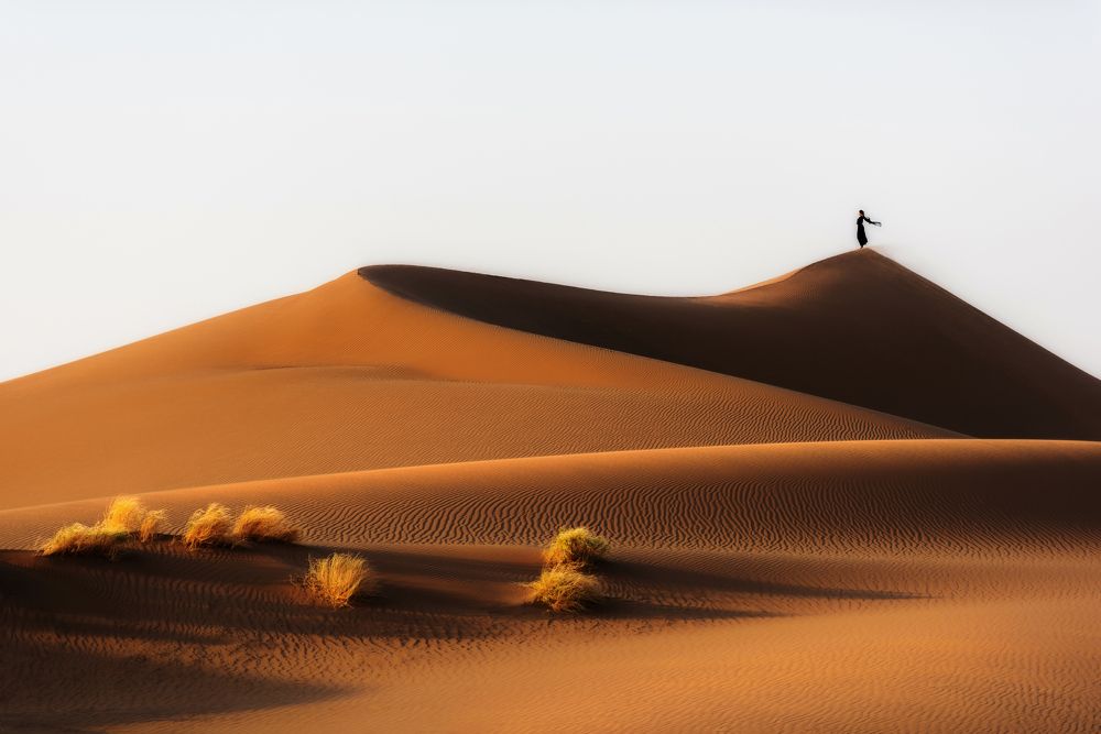 Photograph by Mohammad javad Nik eghbali