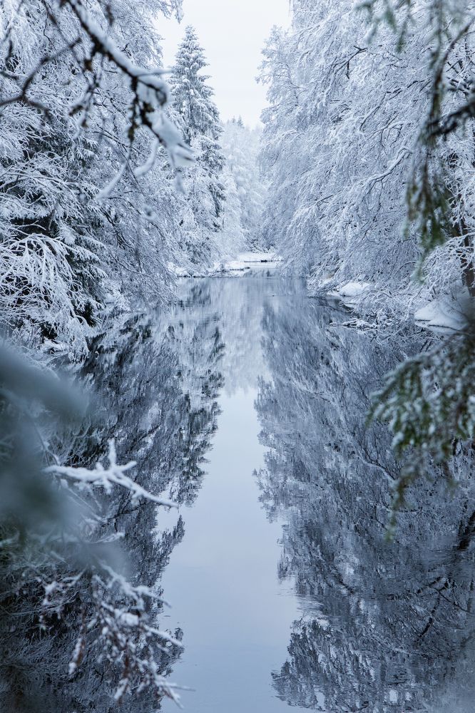 Photograph by Евгений Васильев