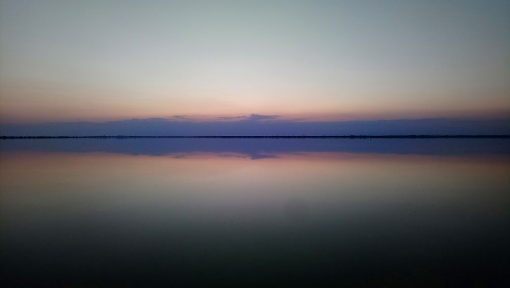 Photo #5835775