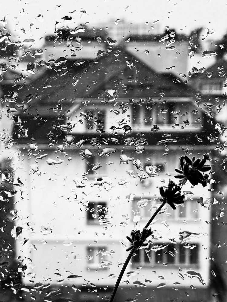 Photograph by Anna Haidukova