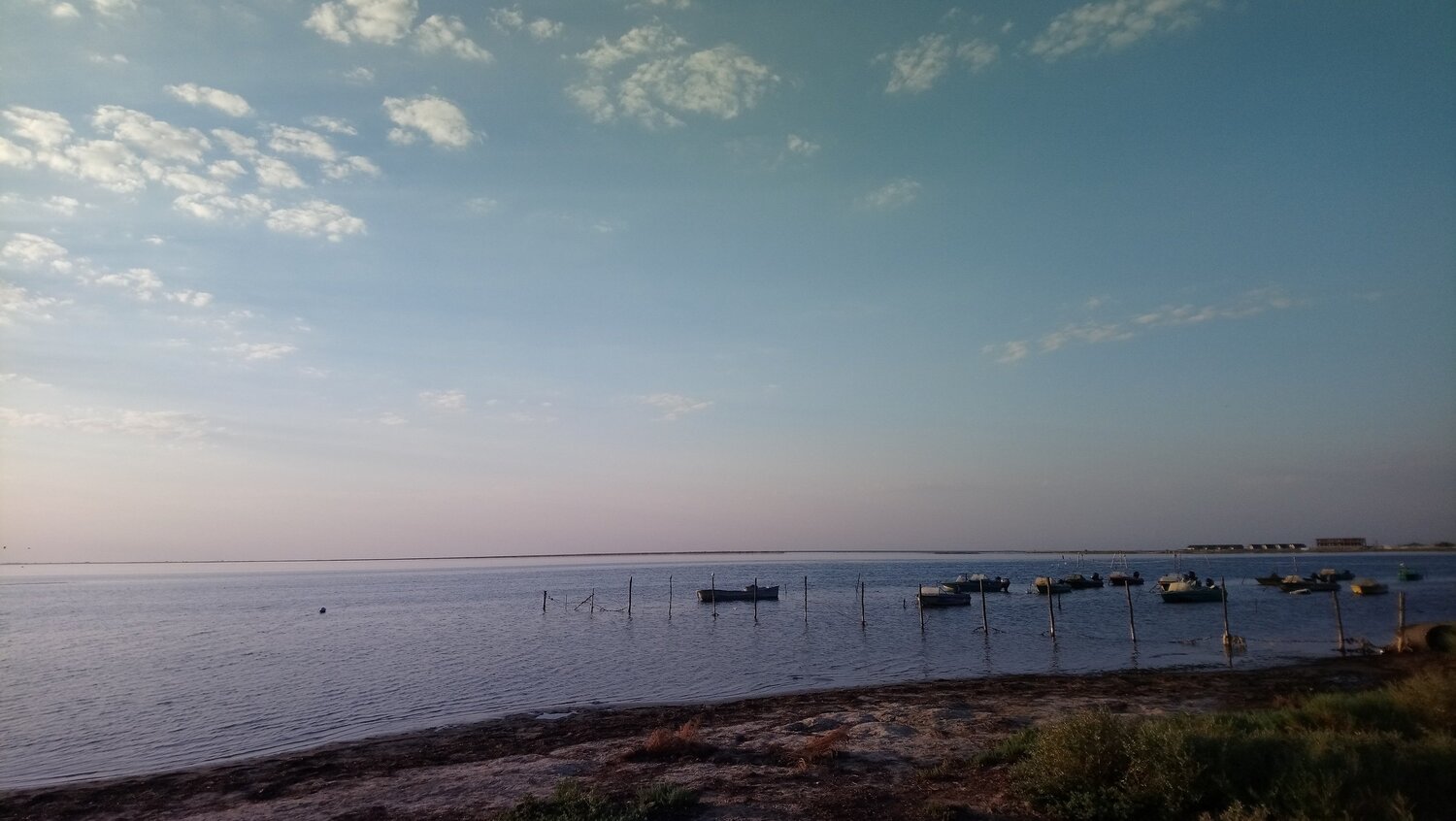 Photo #5835800