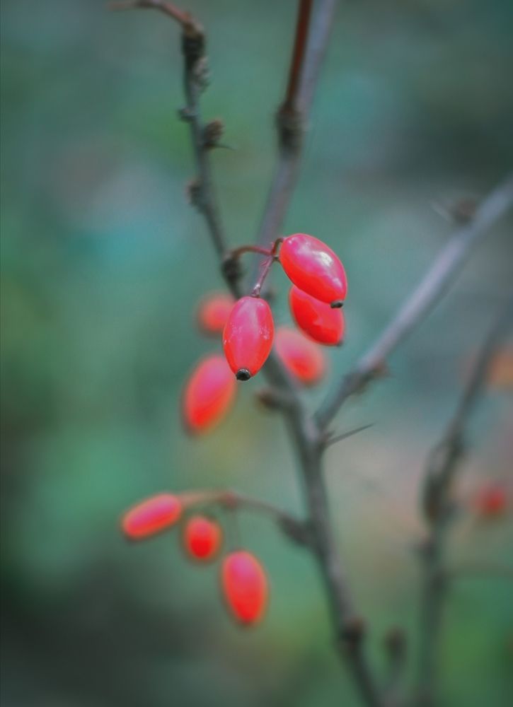 Photograph by Карина