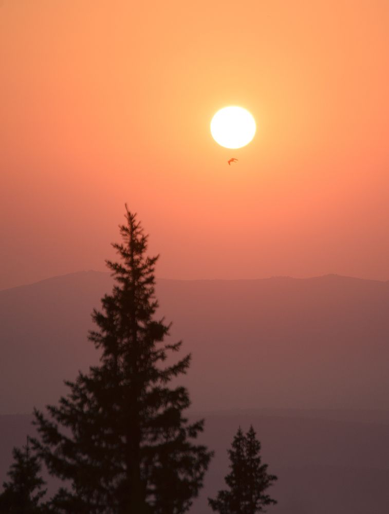 Photograph by Дмитрий Жучков