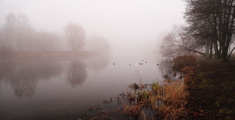 Photograph by Валерий Козуб