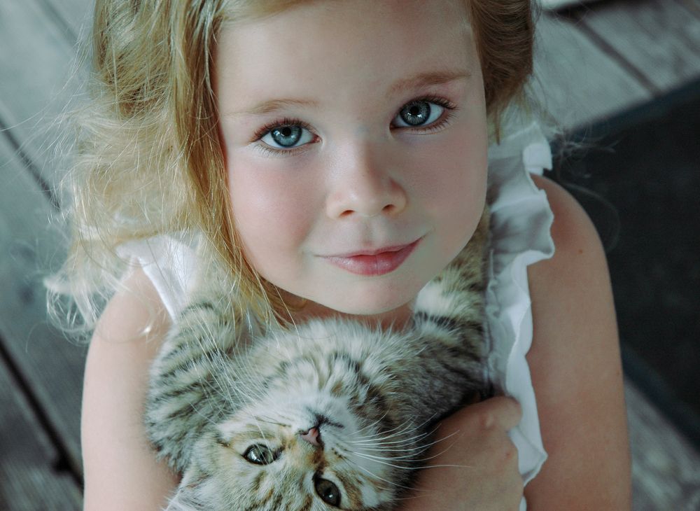 Photo #5835835