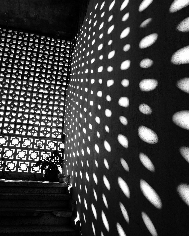 Photograph by Amal k Al Beqai