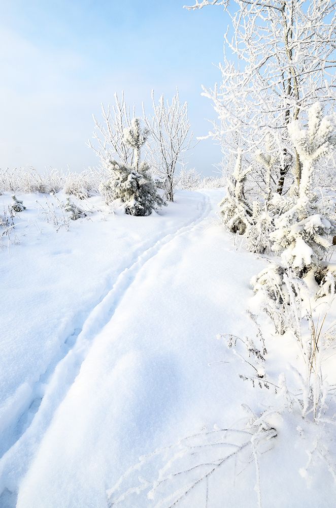 Photograph by Viktor Korotnev