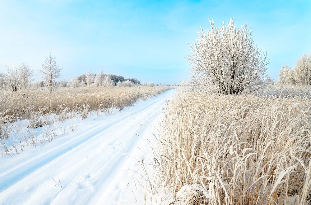 Photograph by Viktor Korotnev