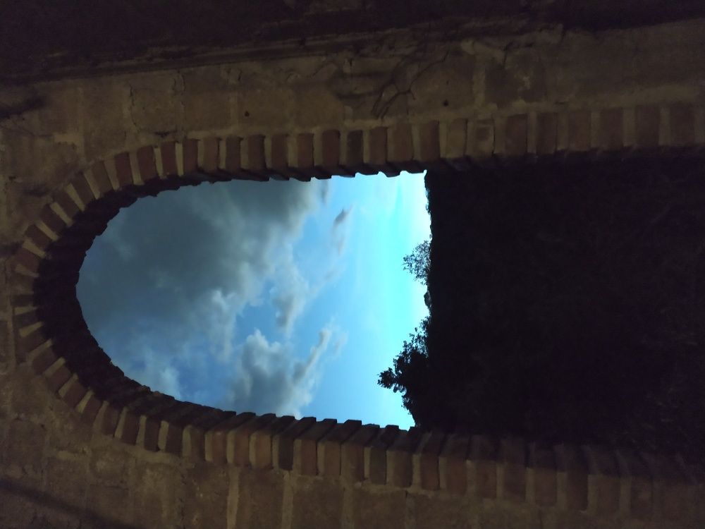 Photo #5835930