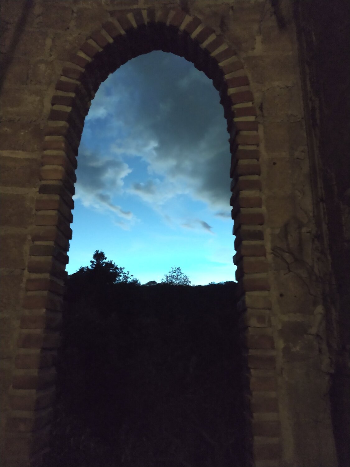 Photo #5835930
