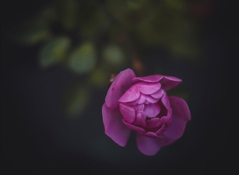 Photograph by Карина