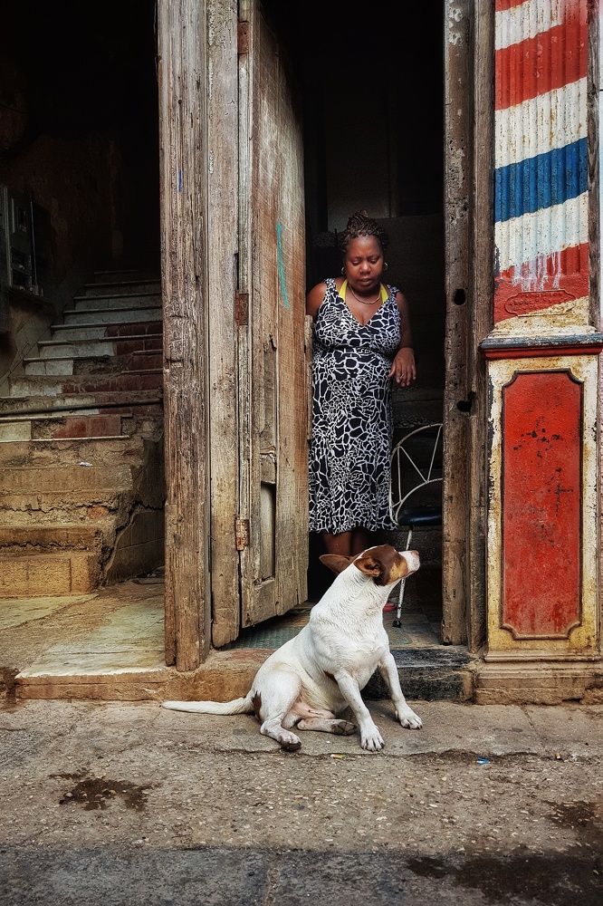 Photograph by Marcin Sokolowski - maarew