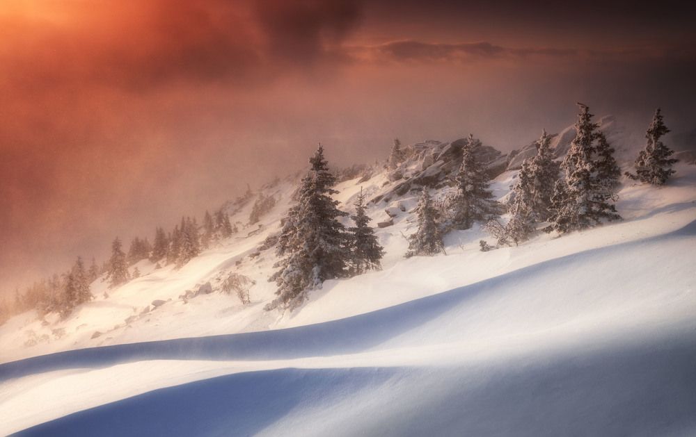 Photograph by Татьяна Бирюкова