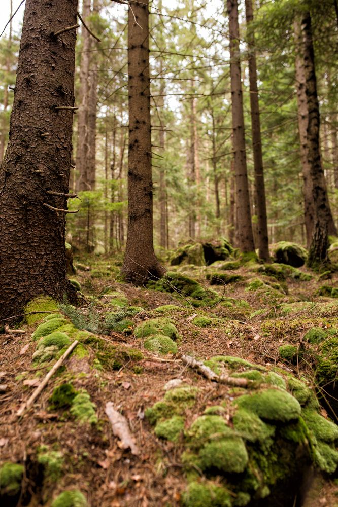 Photograph by Olia Kovryhina (Kudrina)