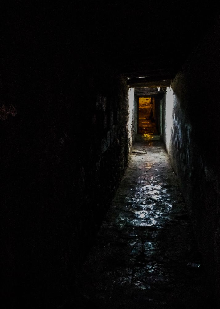 Photograph by Amal k Al Beqai