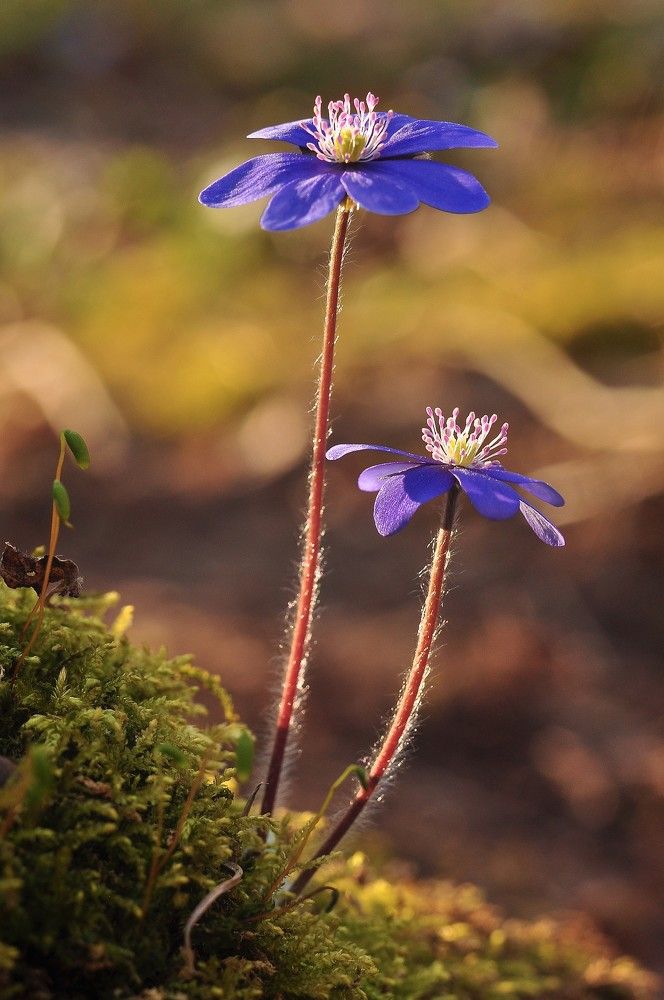 Photograph by Юрий Яковлев