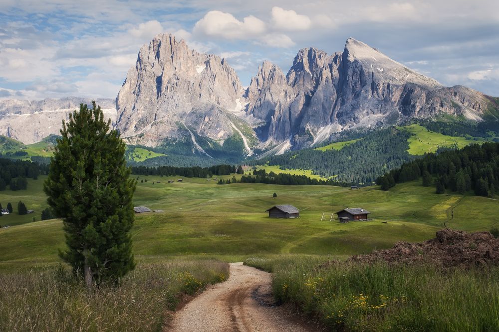 Photograph by Atanas Donev