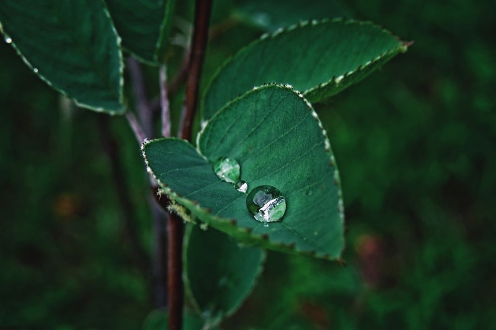 Photograph by Наташа Фишер